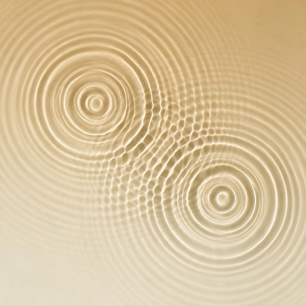 Concentric ripples flattening across a still surface